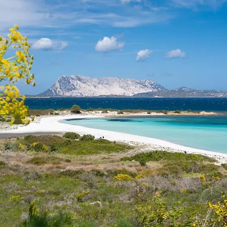 ヴィラ San Teodoro