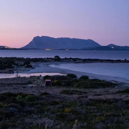 ヴィラ San Teodoro *