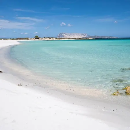San Teodoro ヴィラ